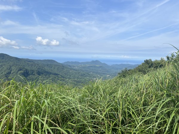 [走遍陽明山]2023_0723 頂山2320006