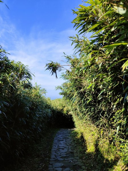 2023.09.09 七星山主、東峰步道2481032