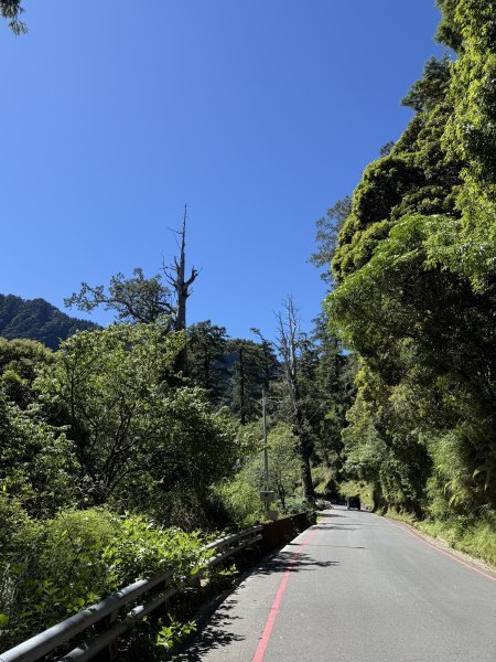 1150705塔關山3091602