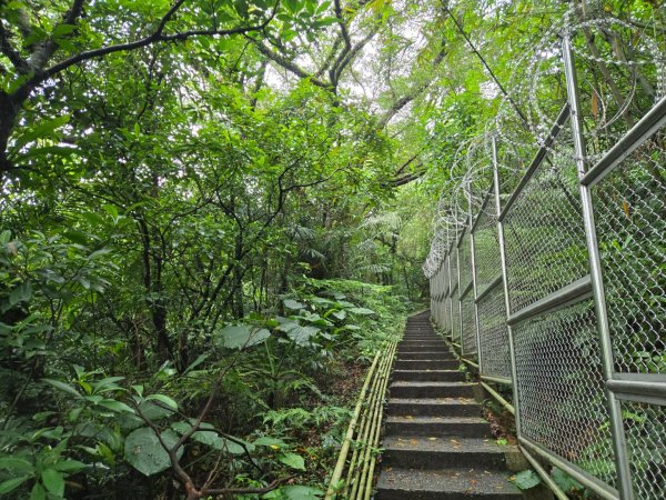 劉銘傳隧道、獅球嶺砲台步道、紅龍山3044752