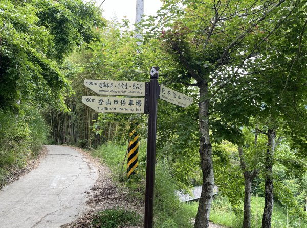 2025_0524 司馬庫斯神木群步道2797199