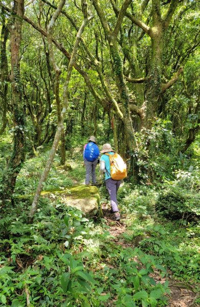 按圖索驥解鎖向天池山-202405192508221