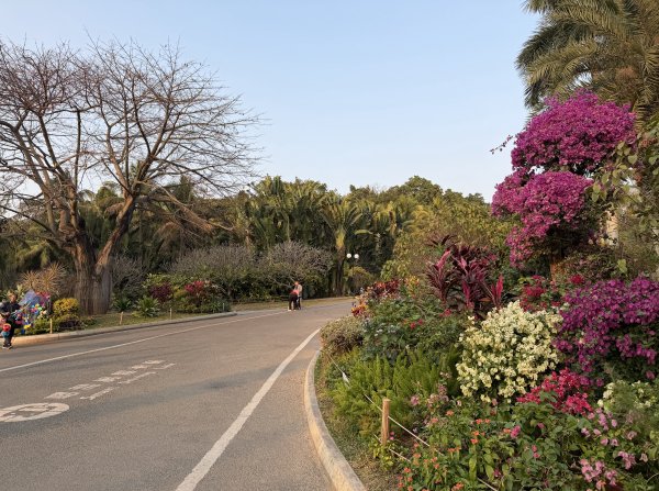 [茂名馬之行-12] 2026_0119 蓮花山公園2996923