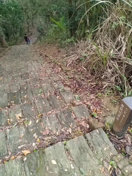 老銃櫃步道 & 三聯埤步道1231353