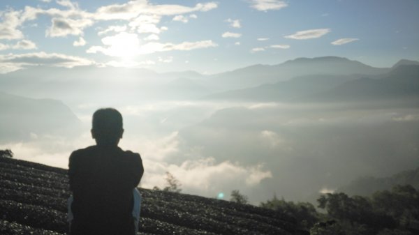 【巃頭-龍銀山天氣】阿里山日出私房秘境691533