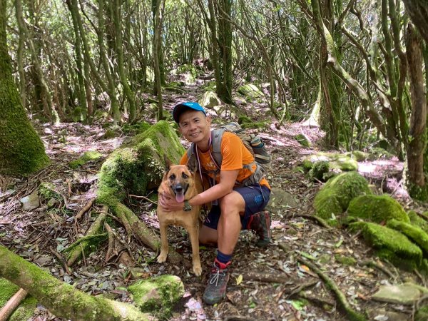東埔山+東埔大草原步道【這裡的夏天冷颼颼】2826522