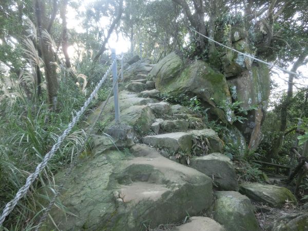 南勢角山．青春嶺231946