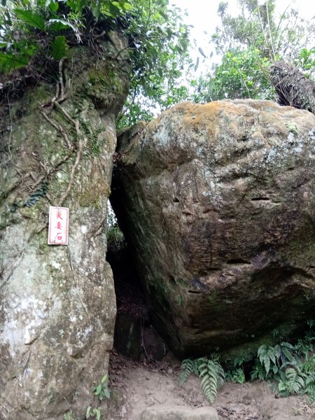 勞工中心連走清水坑山>石門山>小粗坑1318479