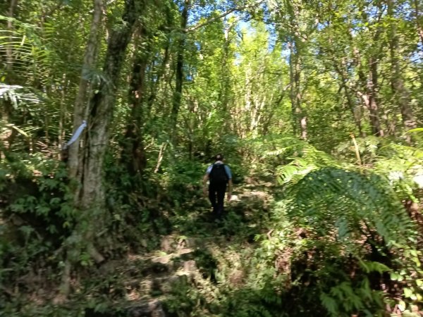 雙溪區內盤山坑古道+石硿子越嶺古道+盤山坑古道+過火坪古道O型2914373