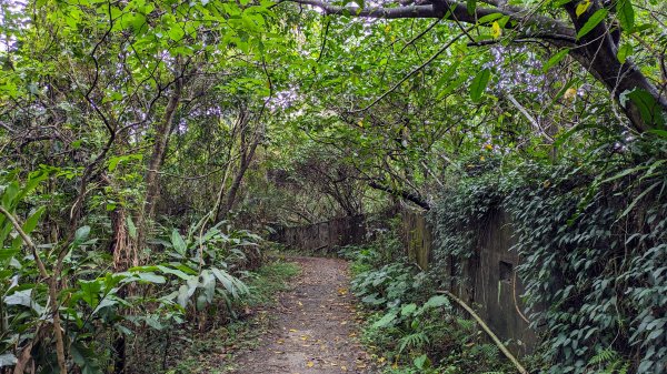 南港四分溪,三重埔埤濕地復育,大坑溪2502959
