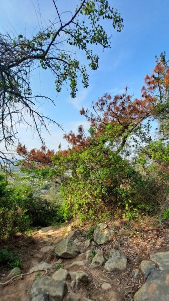 金門：后盤山金中師事件、蔡厝古道太武山2487810