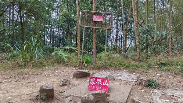 溪頭鳳凰山（米堤飯店香蕉園登山口）2070650