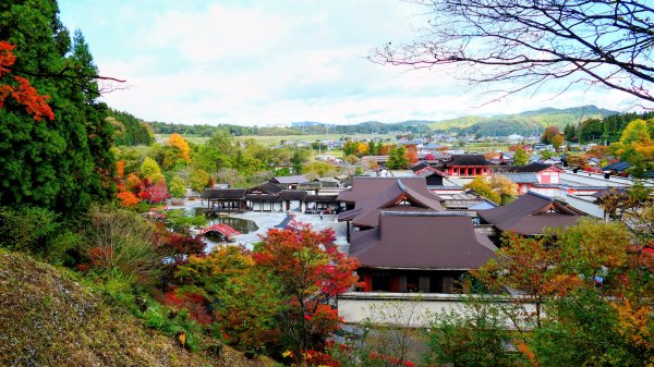 岩手縣藤原之鄉2930112