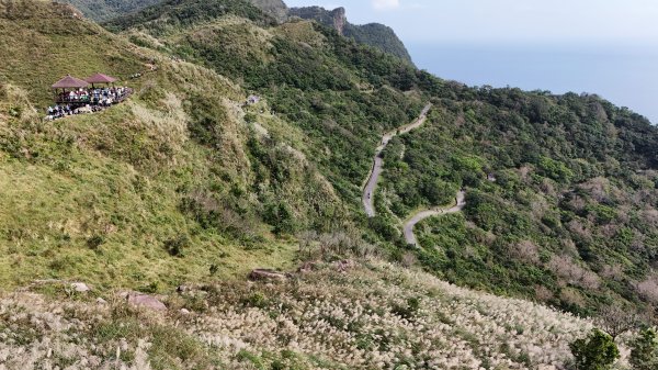 2025.11.29－草嶺古道芒花季2955987