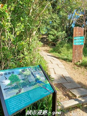 【新北中和】小百岳~烘爐地登山步道 (南勢角山)2950586