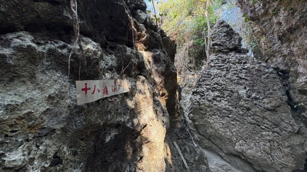 尋仙、鑽洞、啖肥雞3002764