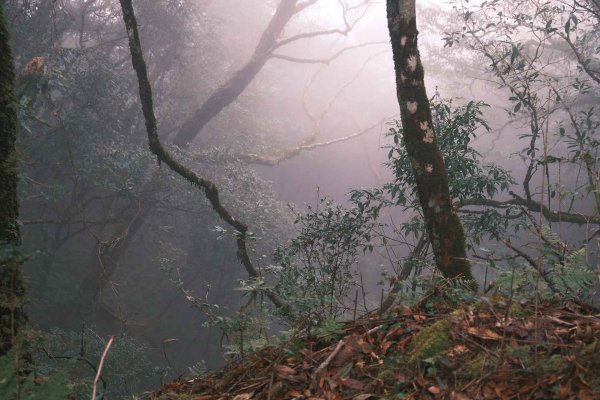 【年輕人爬山趣】大混山縱走李崠山2750851
