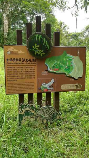 20180707漫步福山植物園380564