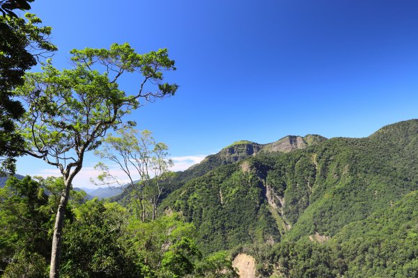 阿里山三霞 -- 楠梓仙溪左岸 南霞山1490234