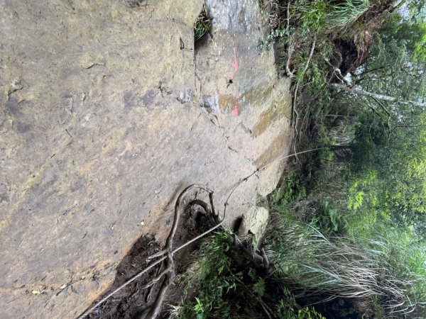 20250607 春谷養鱒場所上加里山 出大坪2805232