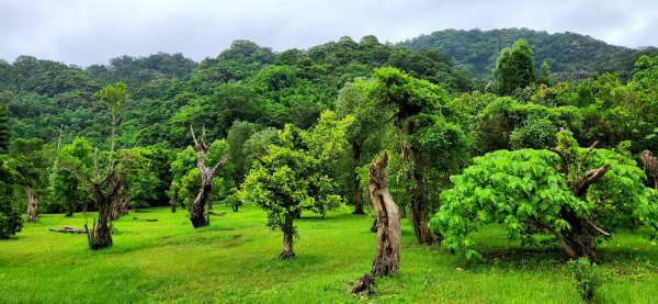 炮子崙瀑布，炮子崙古道，土庫岳，山豬窟尖，小南港山，山水綠生態公園，汐止三秀山，拱北殿後山步道2170002