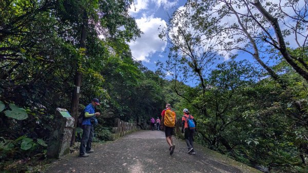 114.11.09草嶺古道芒花季之旅2932951