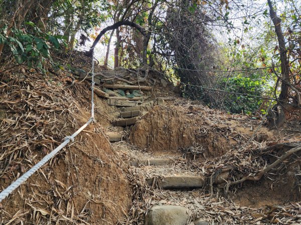 小百岳No.72⛰旗尾山3025181