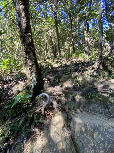 2025微笑山線大縱走尋寶集章任務-Ep.10【五分山系】菁桐煤礦段｜石筍尖 ×2914469