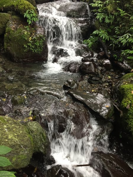 抹茶山之旅812886