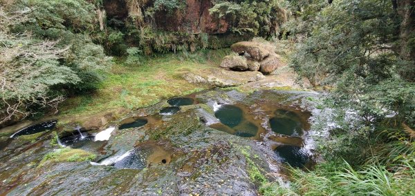 2023-01-01杉林溪青龍蕨類步道(青龍瀑布)、松瀧岩瀑布及天地眼步道1978859