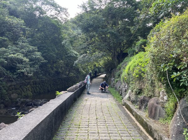 [跟著2025雙北世壯運探索雙北市-9/21] 2025_0615 越野探險徑（大溝溪治水生態園區－2815549