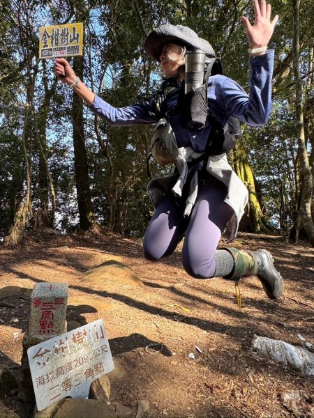 留龍頭-嶺頭山-金柑樹山-忘憂森林（2025必去）2720365
