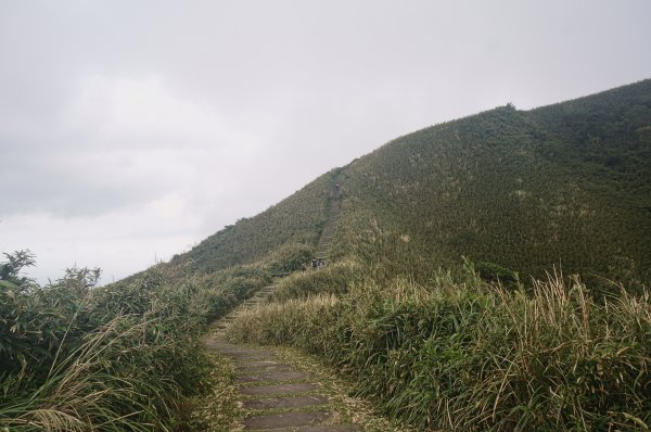 灣坑頭山 桃源谷步道 連走2034827
