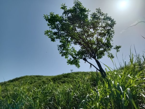 雙溪區不厭亭+牡丹山+樹梅坪+鷹石岩山神廟+不厭亭+奉憲示禁碑+三貂崙+不厭亭8字走2766220