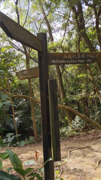 20230120_三峽_鳶山登山步道_五十分山2001585