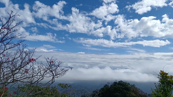 石苓湖山（頭嵙南峰）/黑山/黑山北峰/頭嵙山1585854