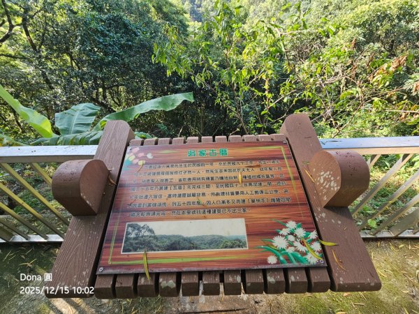 20251215林口森林步道+太平嶺海濱步道2969373