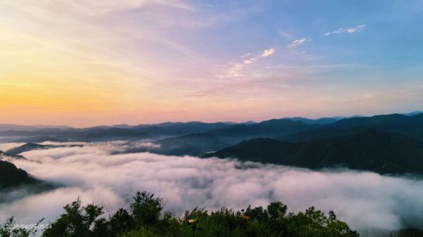 翡翠水庫壩頂 #火燒雲雲海 #日出雲海 #鱷魚島 #藍腹鷴 4/292772688