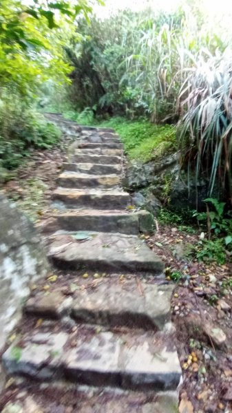 陽明山東西大縱走，下次再把西段走完1963566