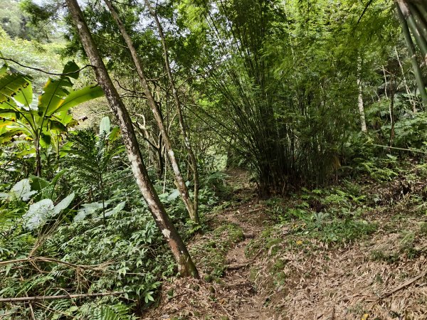 [百山百鳥尋旅-10/15] 2025_0920 溪洲山步道(福山巖登山步道)2893122