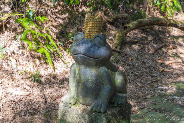 [台北]大崙頭山、碧山巖、忠勇山2746150