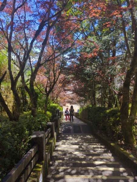 2025.09.28－太平山森林遊樂區2898778