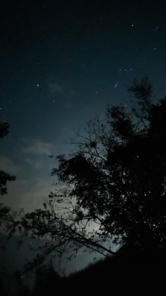 雲嘉連峰/青年嶺/水社寮2750448