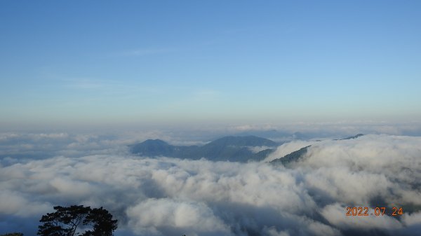 最高小百岳-大塔山2663M&阿里山二延平步道1775038