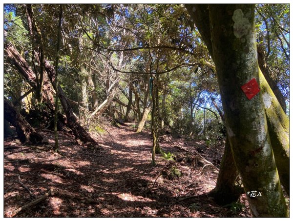武界山、獅凸魯山、橫屏山、橫屏山西峰 連走2846132