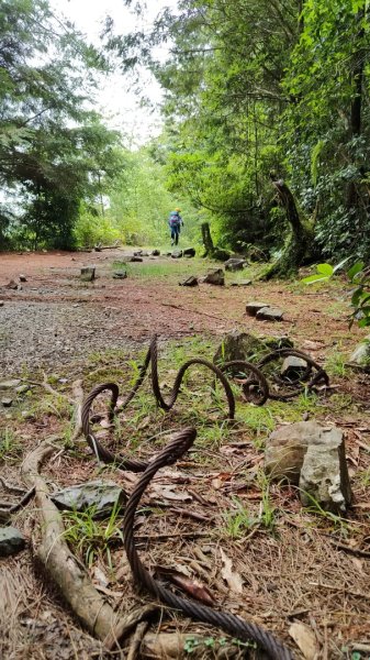 2025/7/12、7/13 西巒大山2839188