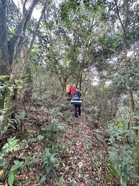 114.08.16大武山之門桑留守山2861735