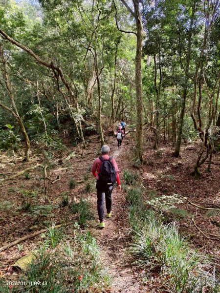🌈1/11（日）六龜警備道~小百岳~鳴海山×網子山✨FB：熊熊趴爬走🌈2980535