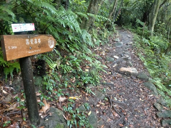 壹北大縱走第四段：風櫃嘴至大湖公園2809582