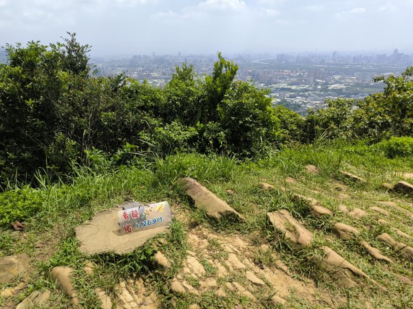 20250809樹迴縱走2855037